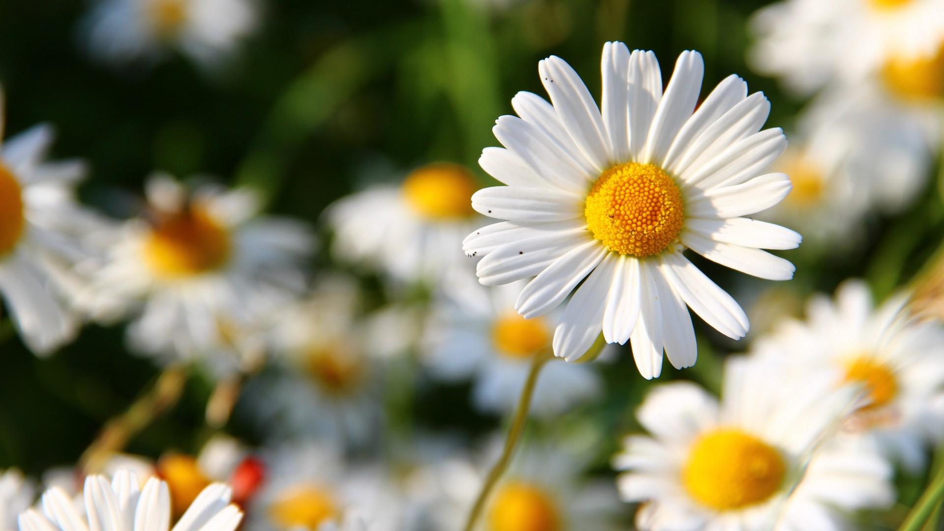 ��Ů����������ʲô�ȽϺõ��� 2021�������Ů����ȡ����ȫ