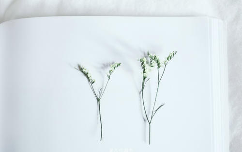 �б���Ӣ�����򵥺��������壬�ʺ�С�к���Ӣ����