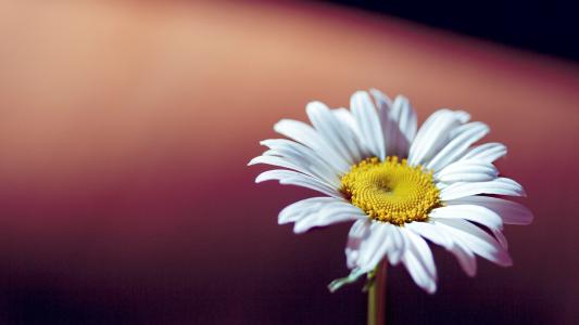 �������к���ʲô���ֺã����հ������ִ�ȫ�к���