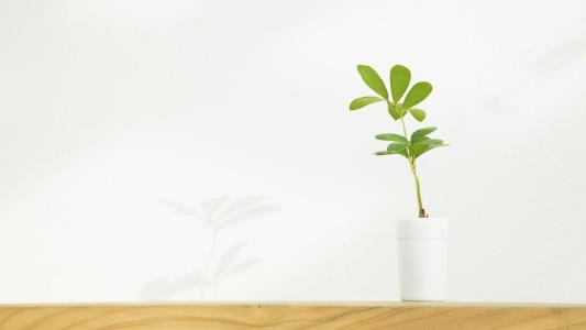 Ů����ȱ����ʲô�ֺã�ȱ��Ԣ���ֺõ�Ů������