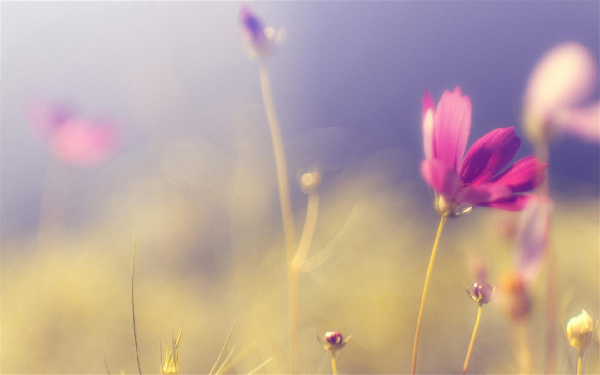 һ���ֶ��غ�������Ů�� ������Ů��������Ԣ�⼰����