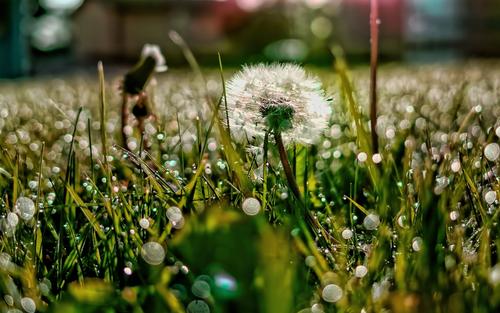 �к��������Ӣ����������Ԣ��õ�Ӣ������