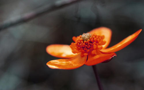 ���������������Ů��������Ů�����ִ�ȫ2021