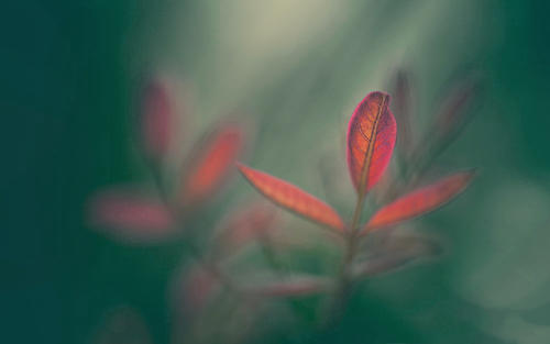 ���������������Ů��������Ů�����ִ�ȫ2021