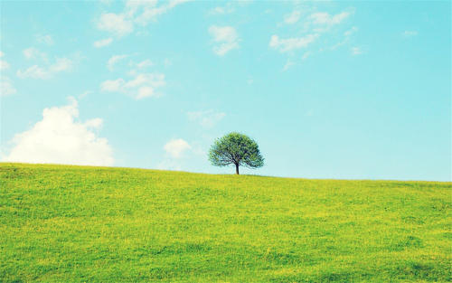 �����Ů���������ں�ʫ�� ����100��Ů�������������ϲ��