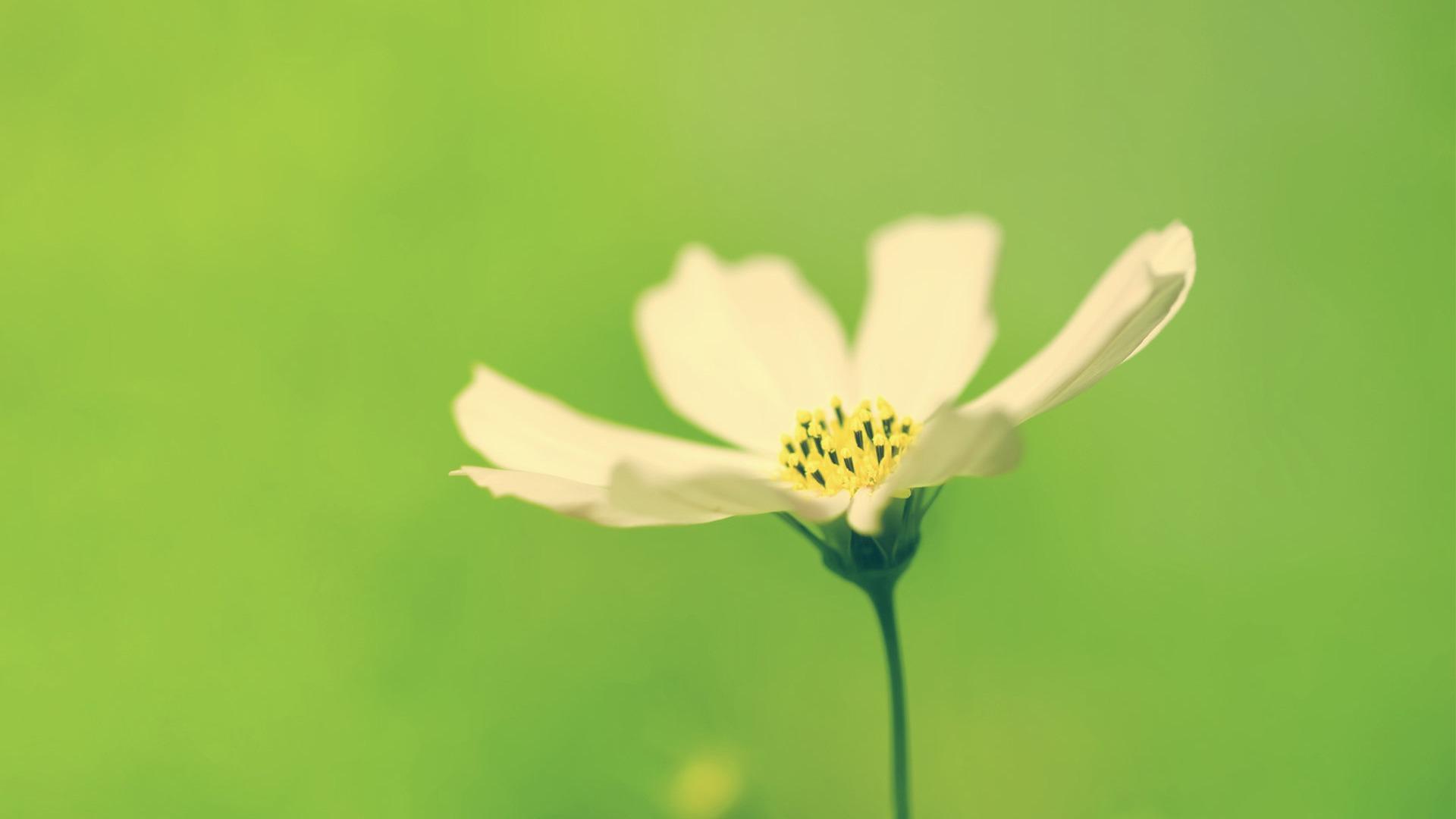 ��һ�޶��ĺ���Ů���������� Ů������2021�����ִ�ȫ����