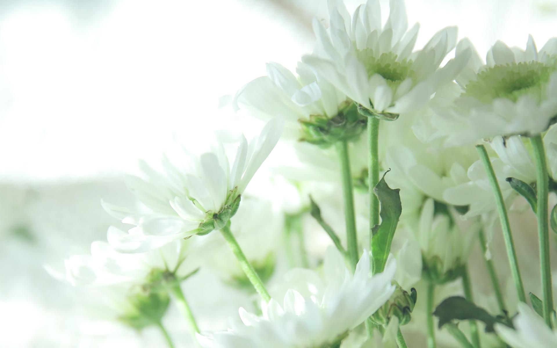 �����к����ִ�ȫ���������� ����ȡ���б������ִ�ȫ