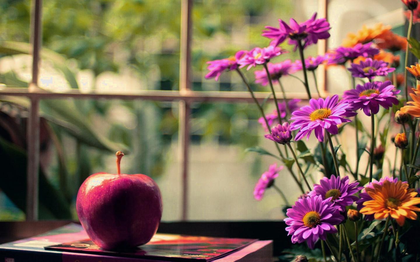 100������ʫ��������� �������ŵ��������ּ���