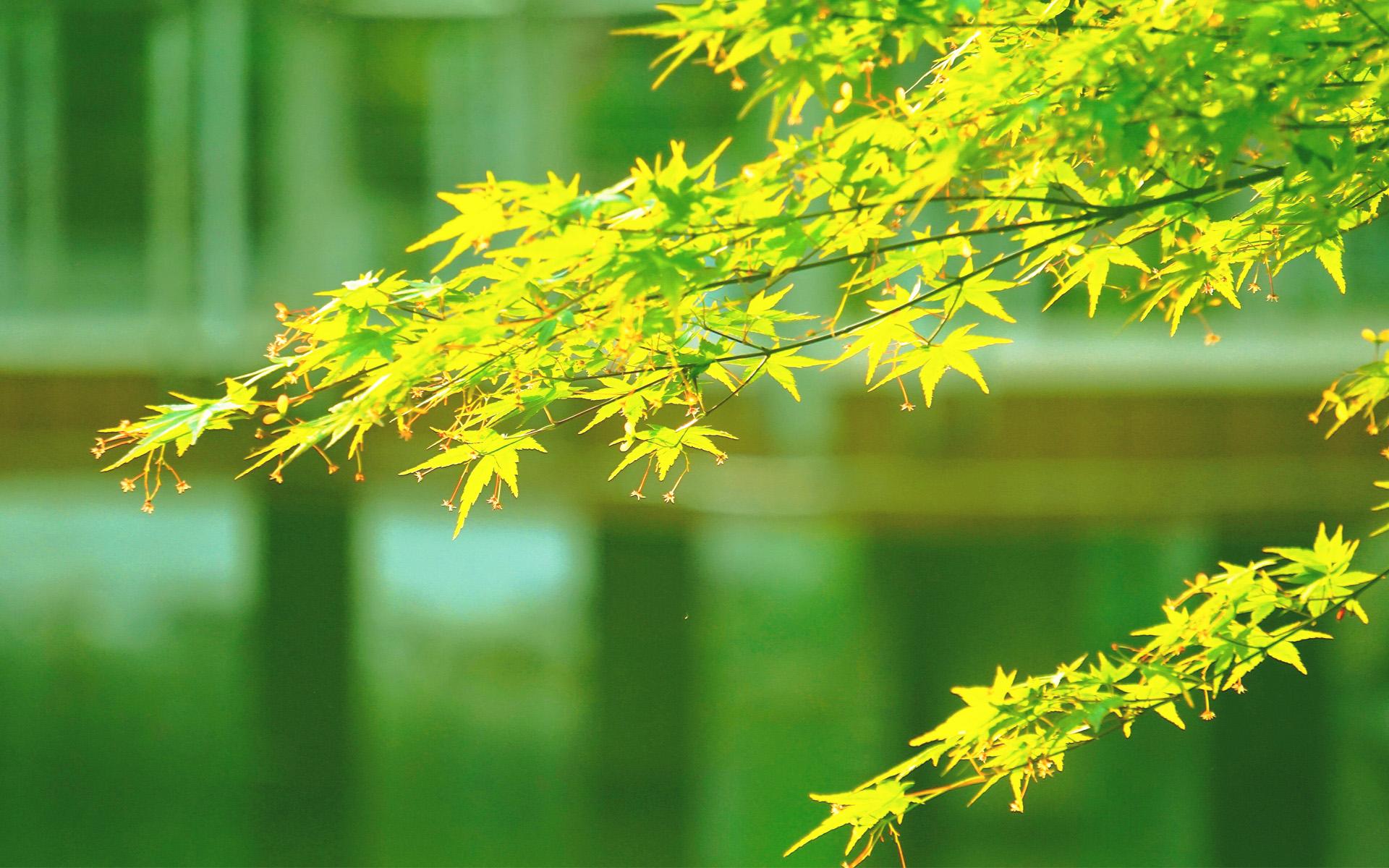 ��һ�޶��������к����ּ��� �к�����2021�����ִ�ȫ���