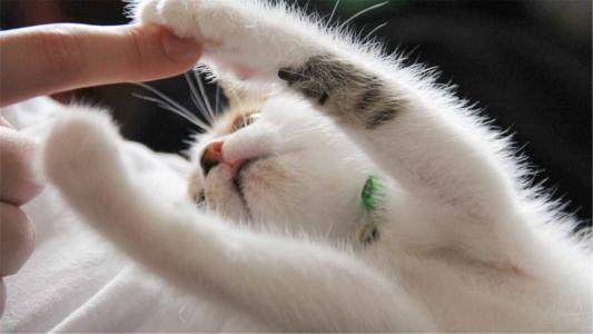 ����ȱˮ��Ů��ȡʲô���ֺã�����ȱˮ100��Ů������