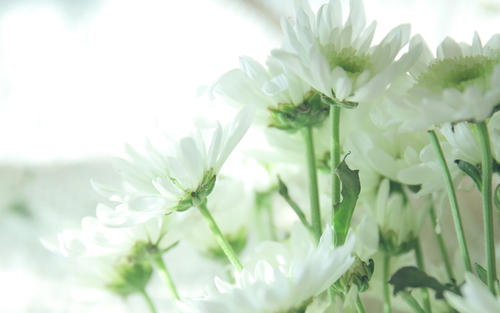 ţ��Ů����ȡʲô���ֺã�2021��Ů�������ִ�ȫ���