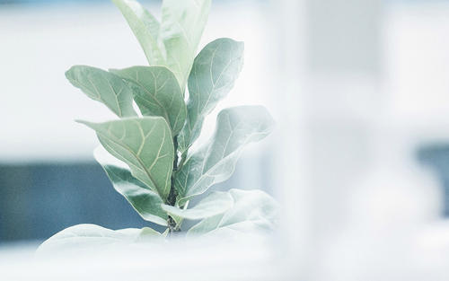 Ů��������ȡ���ò��ã���������ʫ���Ů������