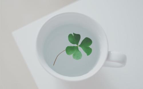  ���������������������Щ��˧����Į���������־�ѡ