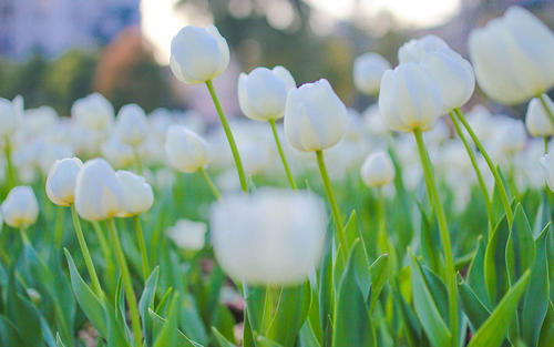 Ů���ȽϽ������������֣�Ů����˳�����в���������