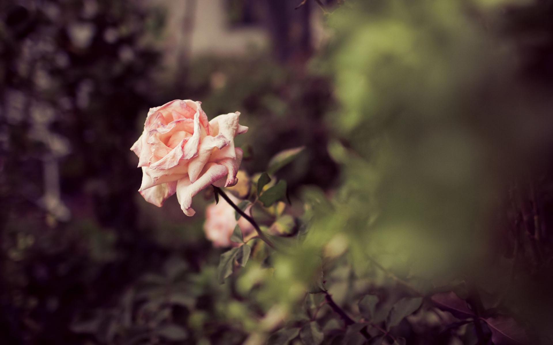 �����Ů��ȡʲô���ֺ��� 2021������Ů�����غ�������