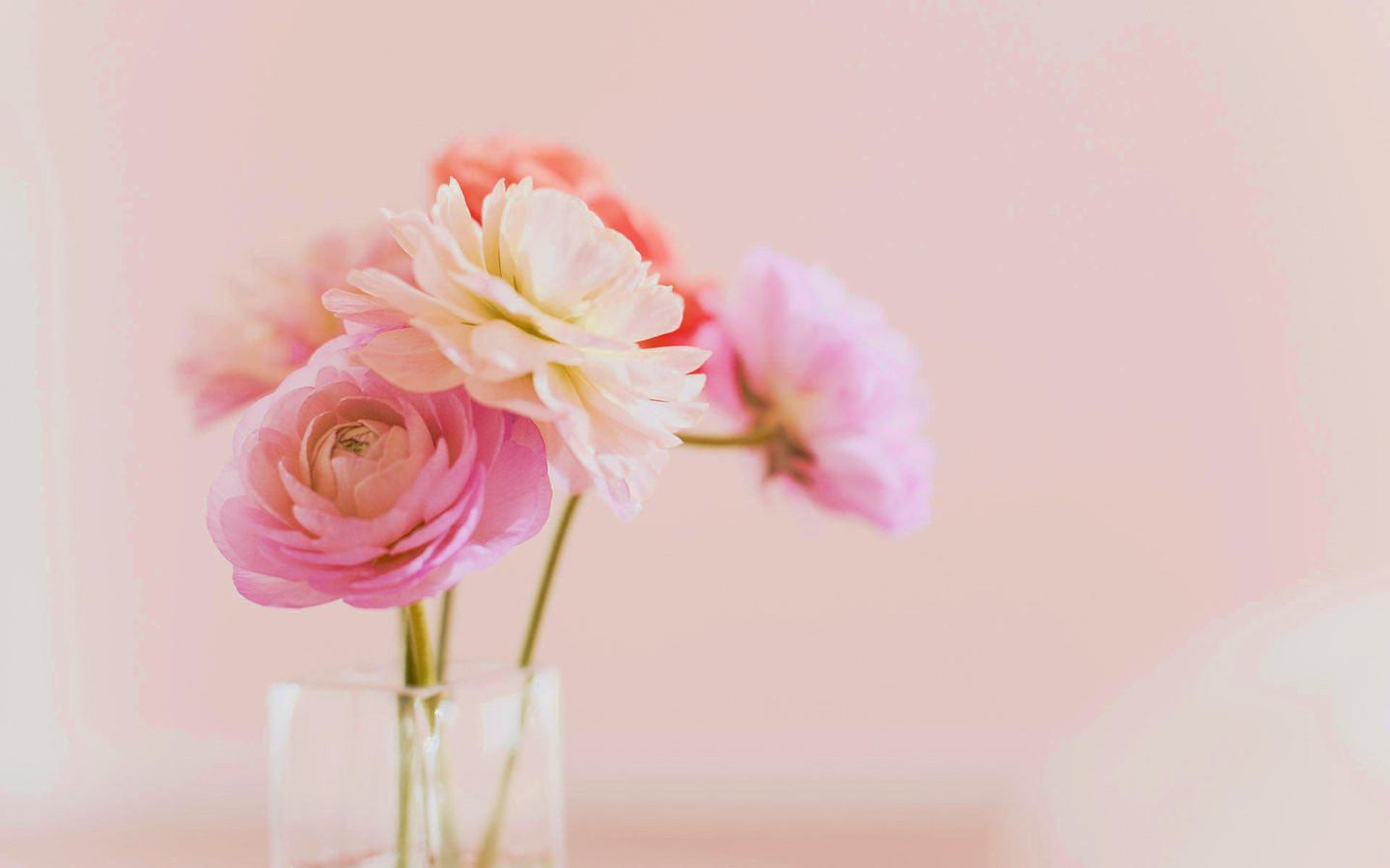 �������������ʫ���Ů������ ����Ů�����������ִ�ȫ