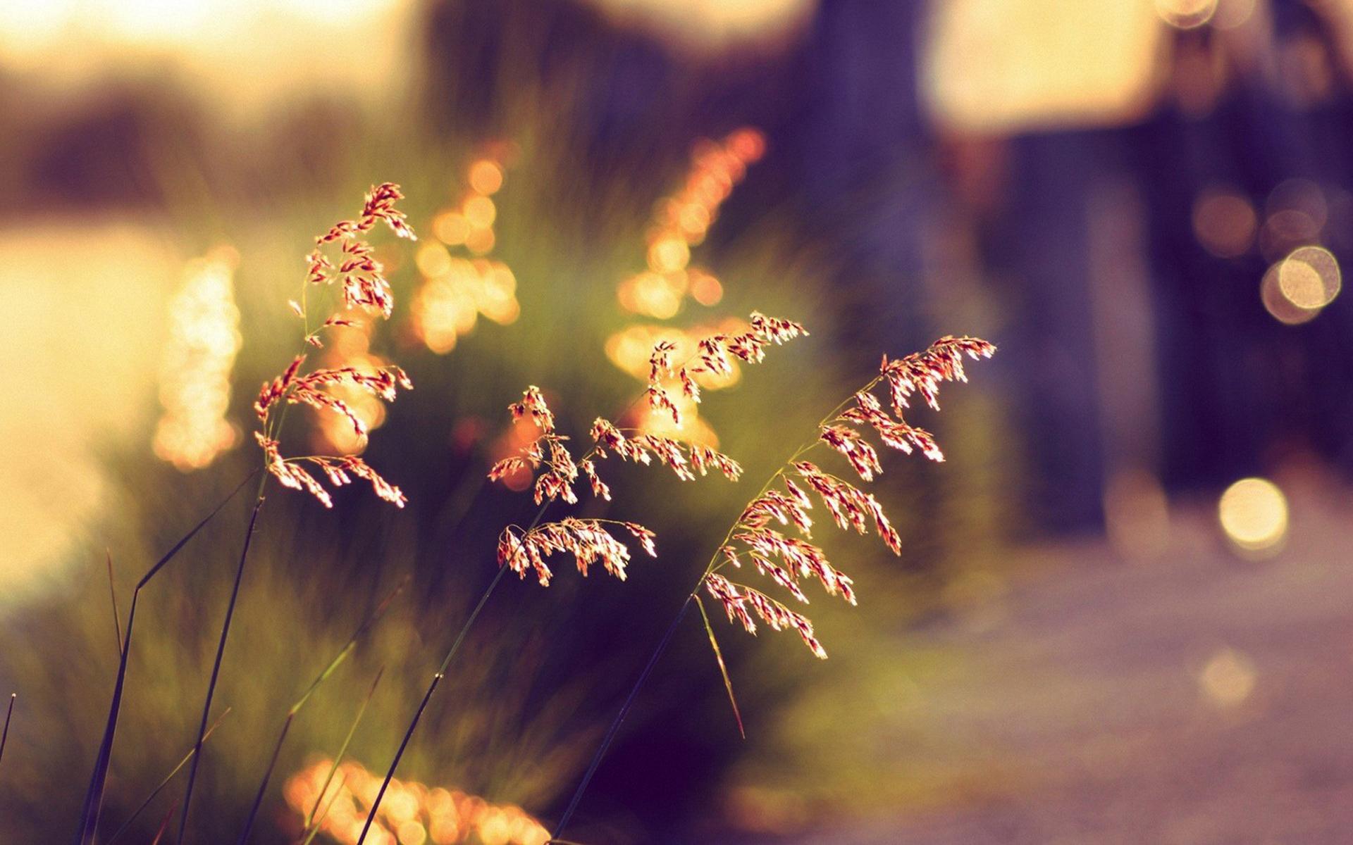 �����ߵ����������к�Ԣ��õ� ������ţ�к�100������