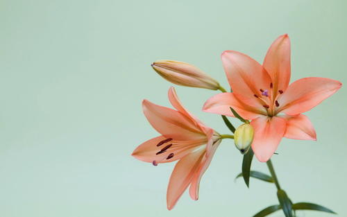 Ů�����ִ�ˮԢ��õ��֣������Ĵ�ˮ��Ů������