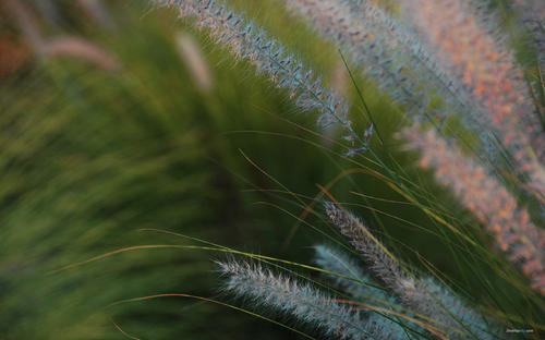 �ʺ�Ů����������Ԣ��õ��֣�Ů������������Щ���