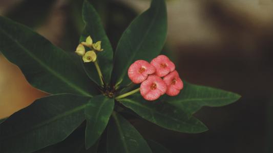 �ʺ�Ů����������Ԣ��õ��֣�Ů������������Щ���