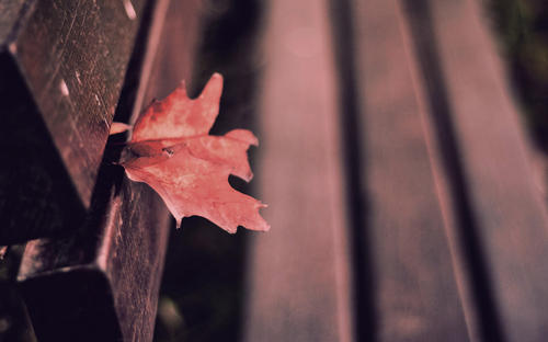 Ԣ��󸻴���Ů�����֣�Ů��������������˵�����