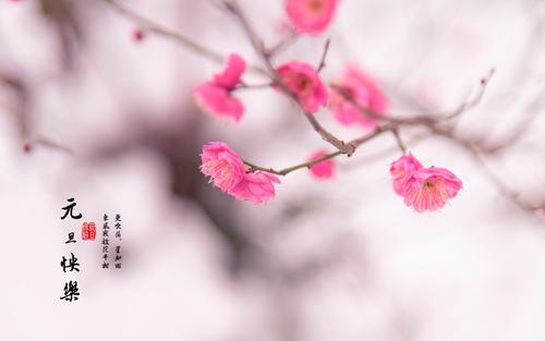 ��ʫ������Ů���������  ʫ�ֿ�ͷ��Ů������