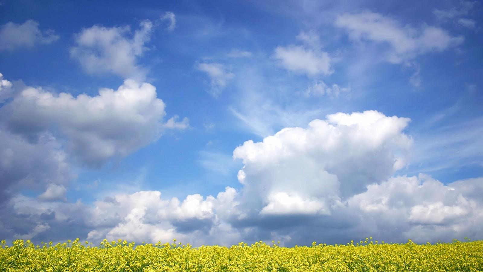 �����Ů������������������ ������ʫ�������Ů�����ּ���