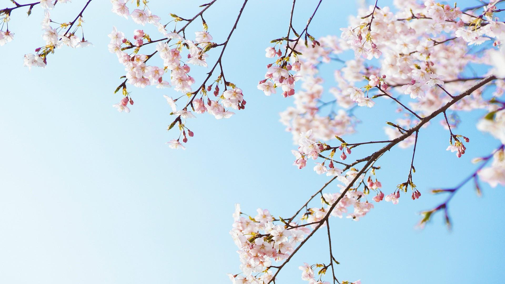 С��ȡ������ʲô���� С��ȡ���ִ�ȫ2021��ţ