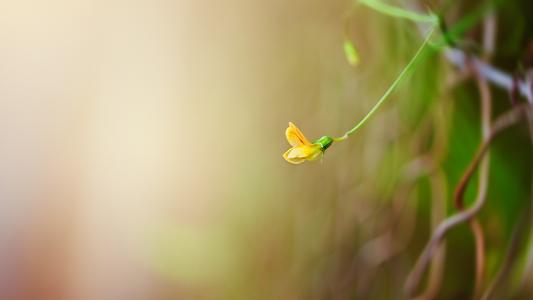 ʫ�������µ��ŵ����ִ����ͣ�Ů������ʫ���ĸ�������