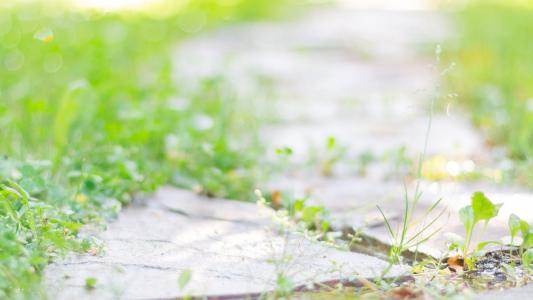 ���������Ů����ȡʲô���֣�������Ԣ���Ů������