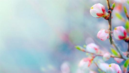 ���������Ů����ȡʲô���֣�������Ԣ���Ů������