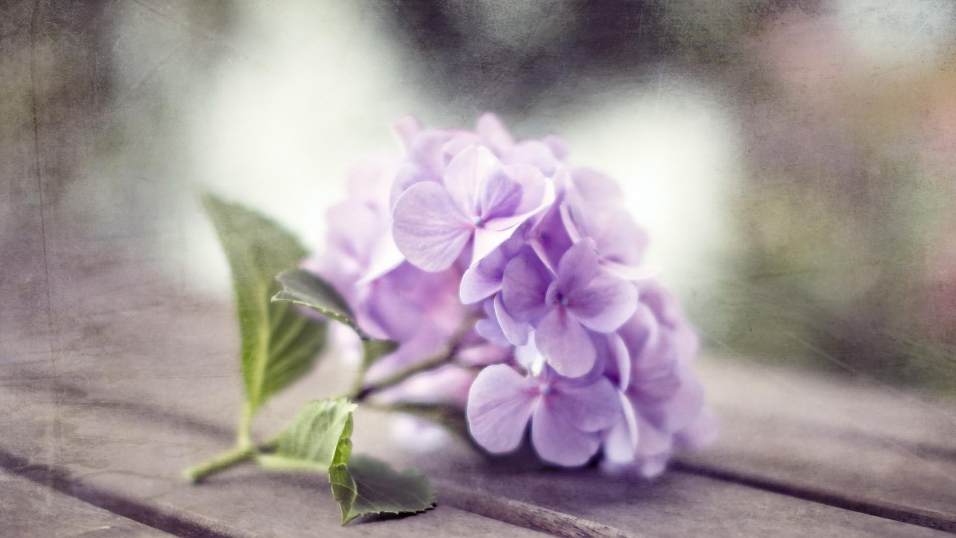 ����Ů�������������ں��� ����ȡ���ִ�ȫŮ��100��