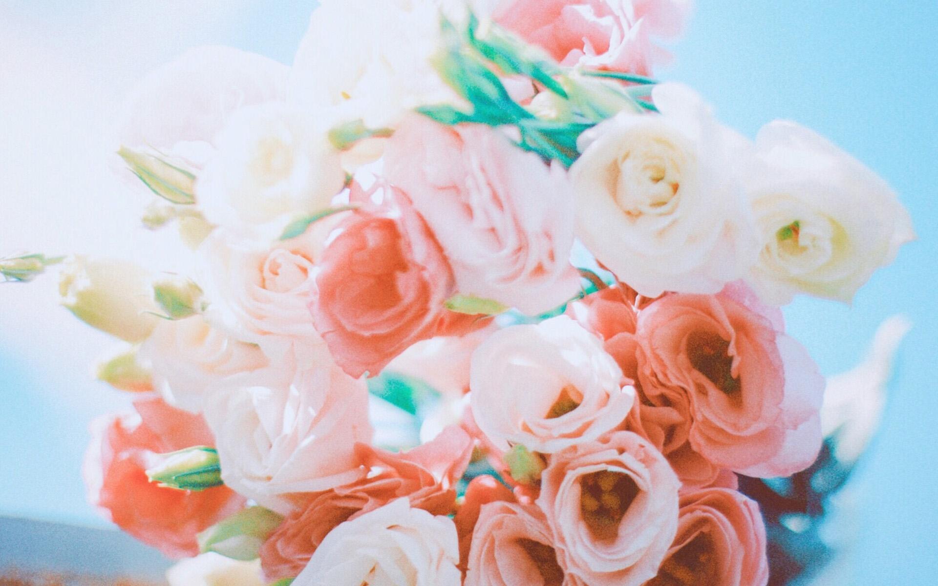 �������ֶ�һ�޶�����ɫ���� ����ȡ���ִ�ȫ�к�100��