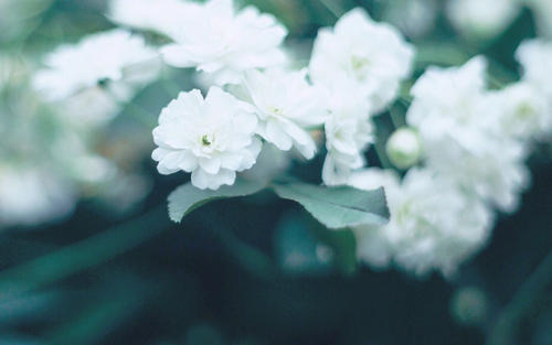 ��ʫ��ȡ�к��ӵ���������Щ��ʫ���к����ָ߶˴���