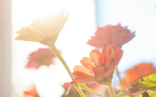 �ʺ�ȡ���ĳ����ȫ�����ͣ�Ԣ��õĳ��������־�ѡ