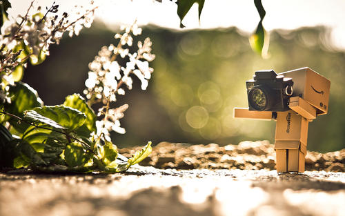 �ʺ�ȡ���ĳ����ȫ�����ͣ�Ԣ��õĳ��������־�ѡ