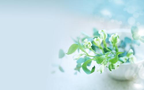 ������ŵ�Ů�����֣��򵥴�˳��Ů�����־�ѡ