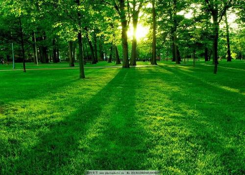 ľ������ȡʲô���ֺã��ʺ�ľ�������ִ�ȫ