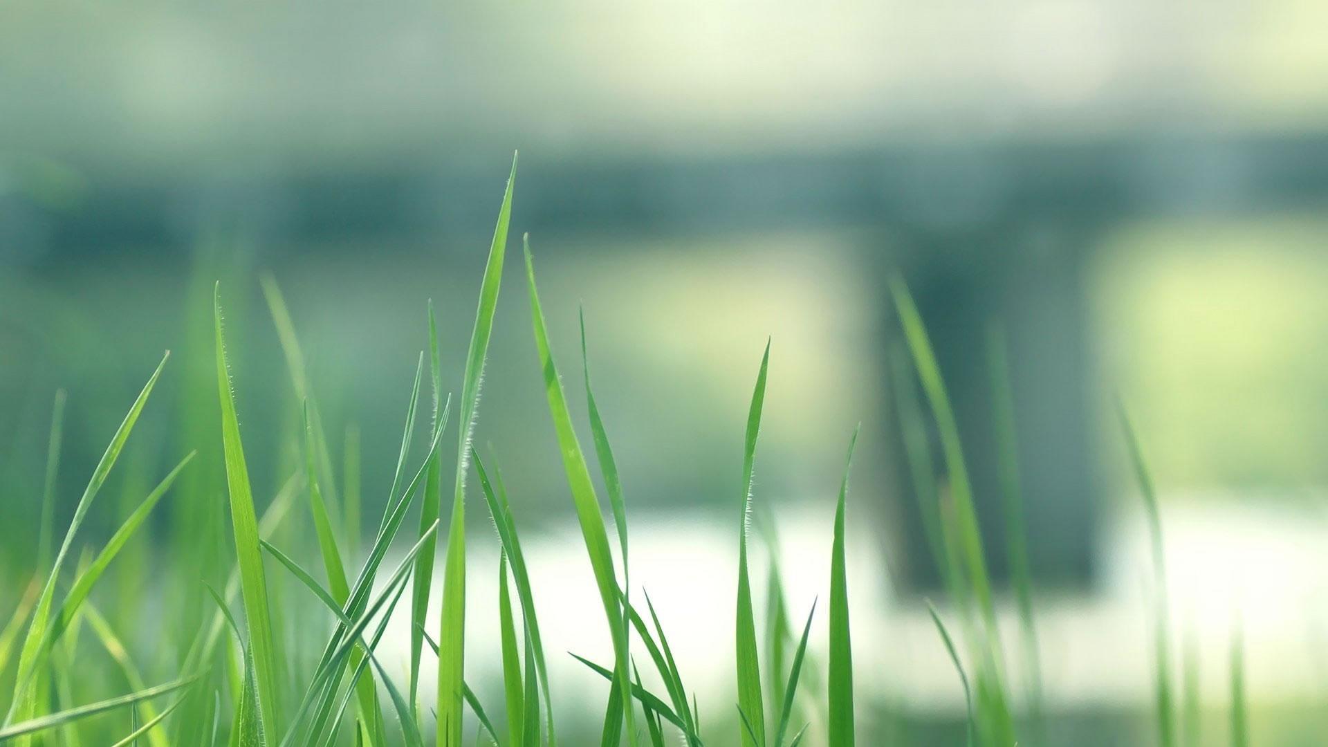 ��֣������Ԣ�������Ů�� ֣������100�ֵ�����Ů��