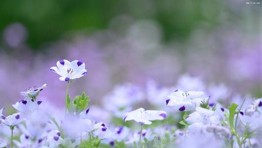 ������ȡ����Ԣ���к������������к�����