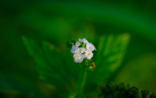 �ʺ�Ů����ľ�ֵ����֣���ľ�Ե�Ů��������������