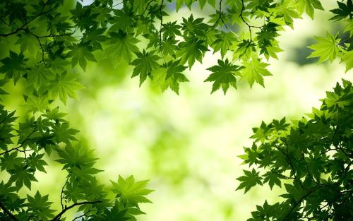 ����100�ֶ����к����� 2021ţ�������б������ȡ��