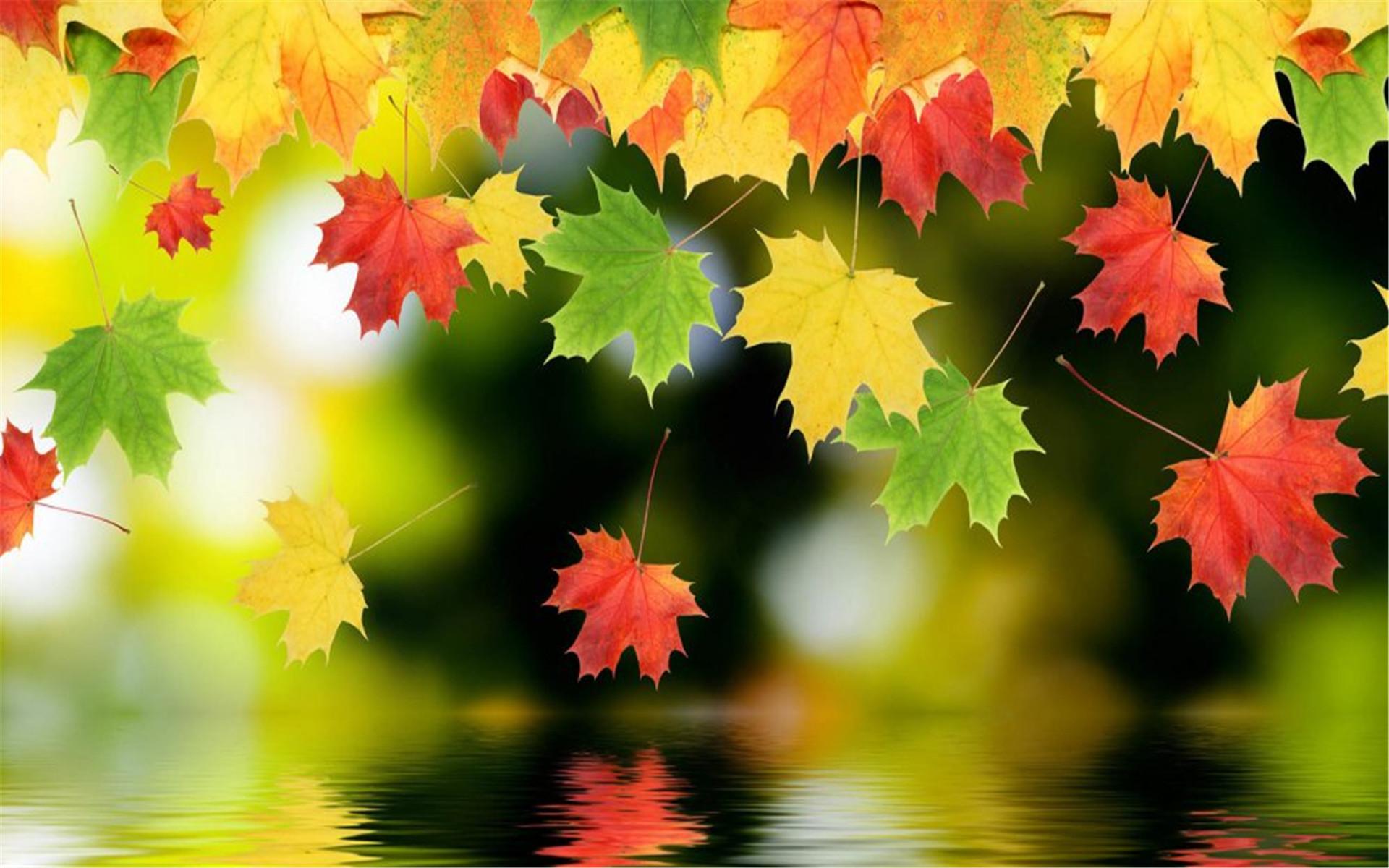 ��Ф��Ů���������ų������������� ��Ф��Ů������100�ִ�ȫ