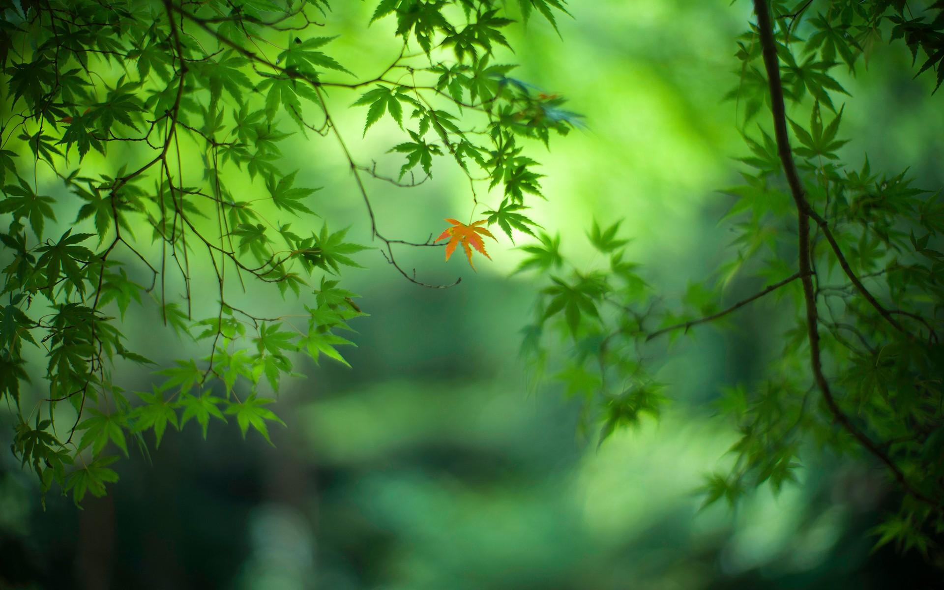 �����к����������������� �����к����ִ�ȫ