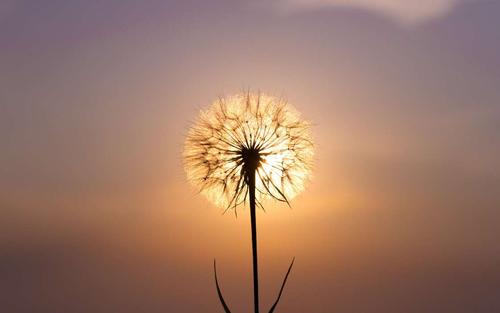 �ճ�Ů����������һ�������� 100�ֳ�������Ů������