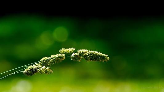 Ů��ȡ����Ԣ��õĳ�������Щ�������к�����Ů������