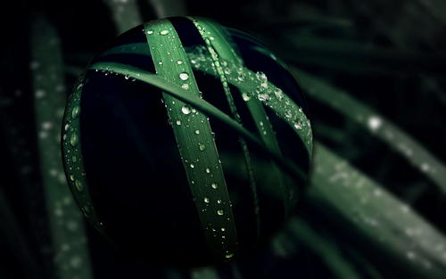 Ů��������ȡʲô���ֺ���������Ů�������к���������