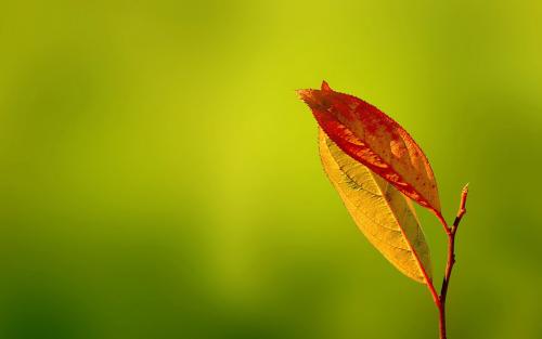 �ջƵĴ������ص������к����д���Ļ����к����ִ�����