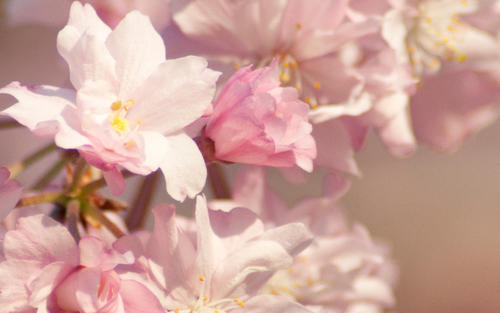 �ջƵĴ������ص������к����д���Ļ����к����ִ�����