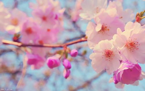 ����Ů�����������ּ����ͣ�����Ů��ȡ����������